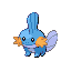 mudkip
